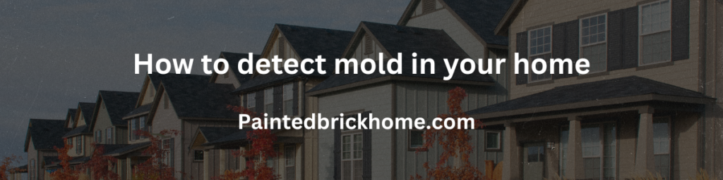 how to detect mold in your home