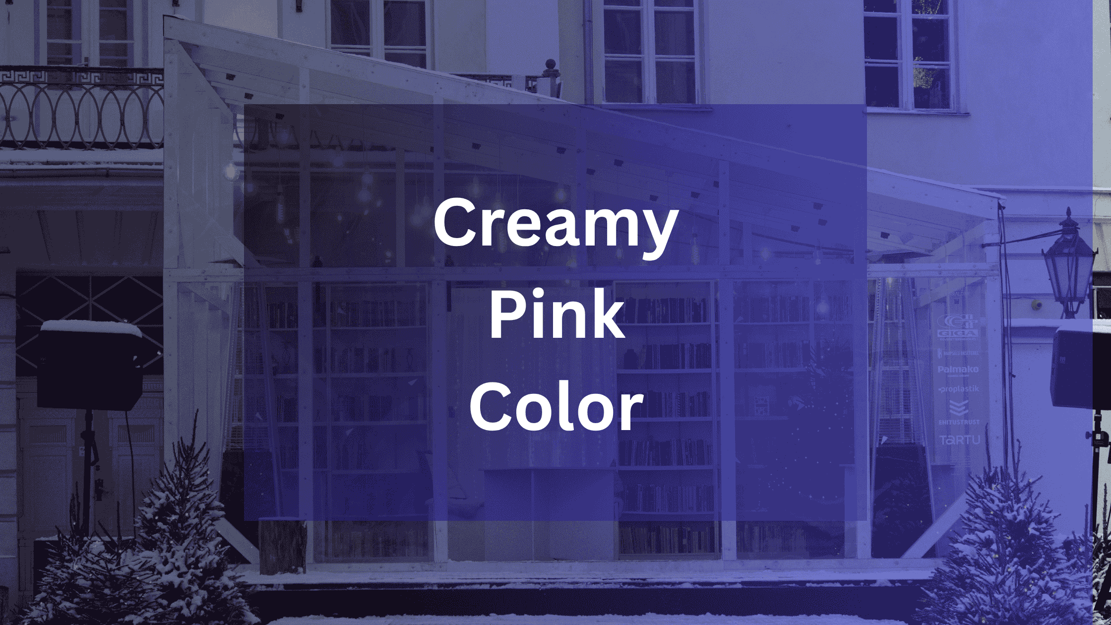 Creamy Pink Color