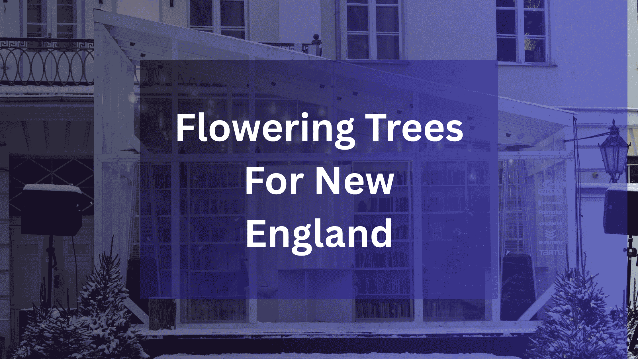 Flowering Trees for New England